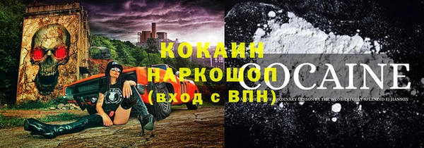 ешки Арсеньев